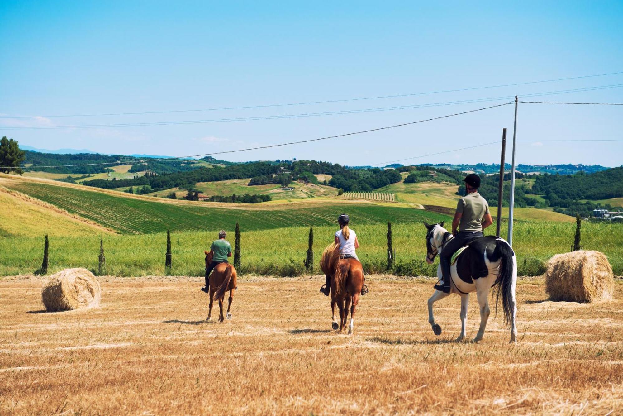 Agriturismo Biologico Diacceroni Villamagna  Eksteriør billede
