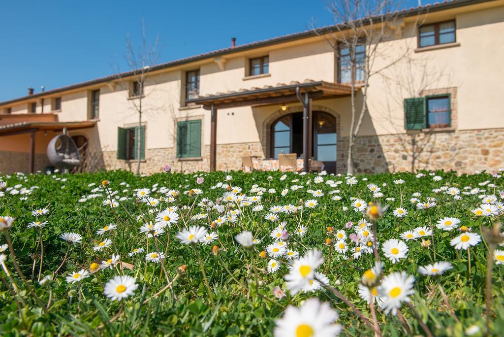 Agriturismo Biologico Diacceroni Villamagna  Eksteriør billede